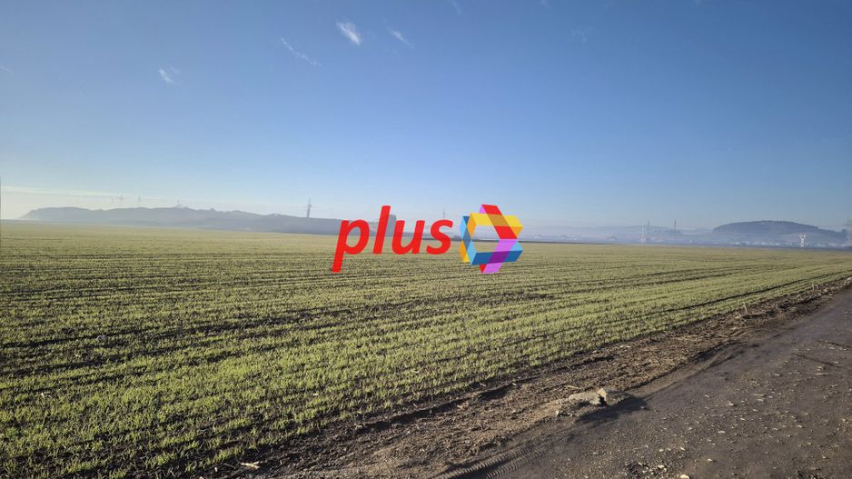 Teren industrial - 41476 mp - Poză 1