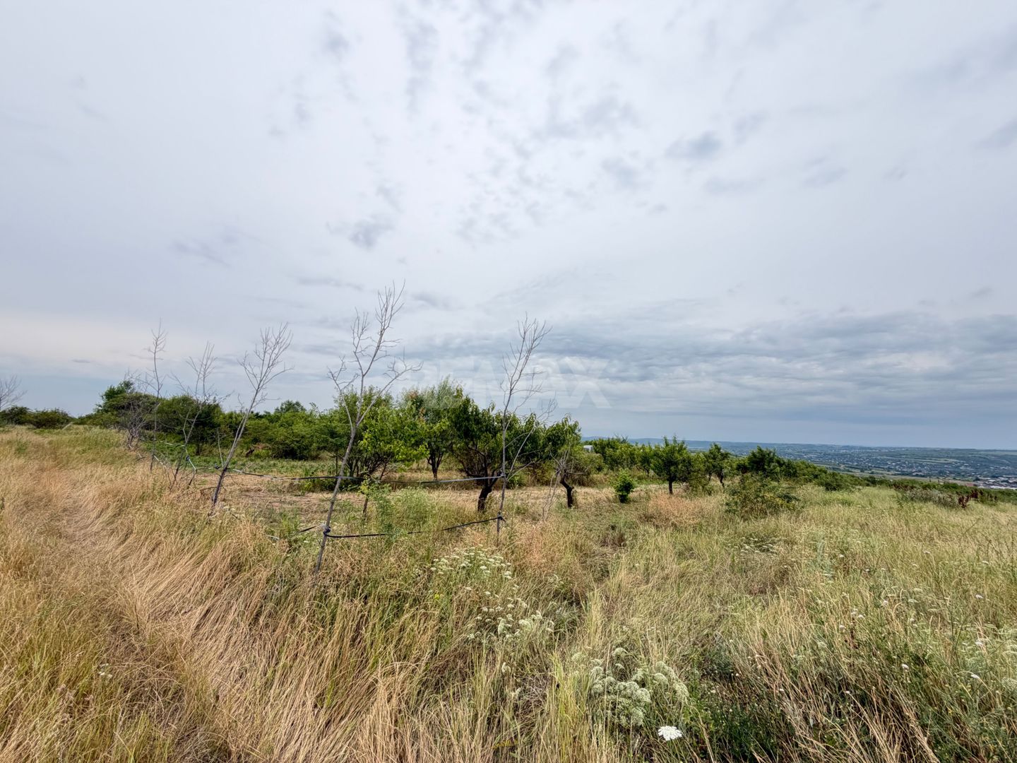 40 Ari Teren Agricol Ialoveni - Poză 3