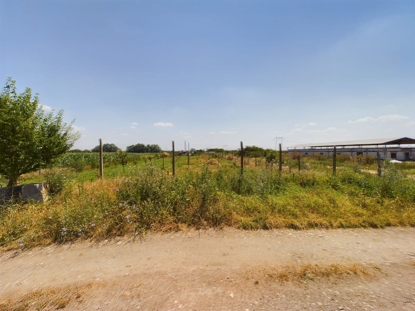 TEREN EXTRAVILAN  CU SOLAR IN GAI - Poză 19