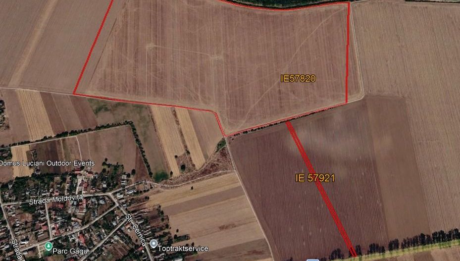 Teren intravilan 50,5 ha – Moara Vlăsiei - Poză 2