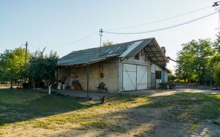 Hală industrială cu multiple destinații în Nădlac - Poză 66