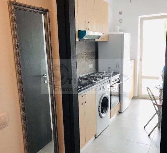 Apartament 1 camera Iulius Mall 350 euro - Poză 3