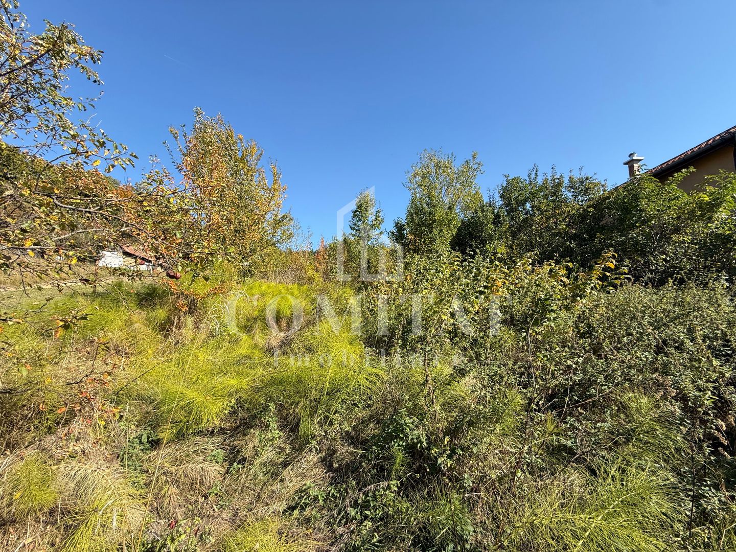 Teren intravilan Făget | 1.490 mp | Front 15 ml | Toate utilitățile - Poză 2