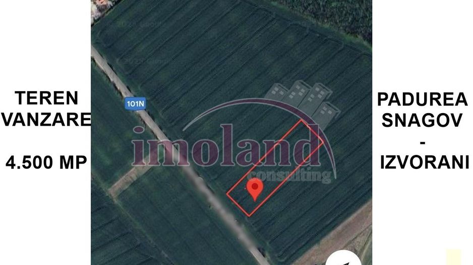 Teren intravilan - 4500 mp - Izvorani - Padurea Snagov - Poză 2
