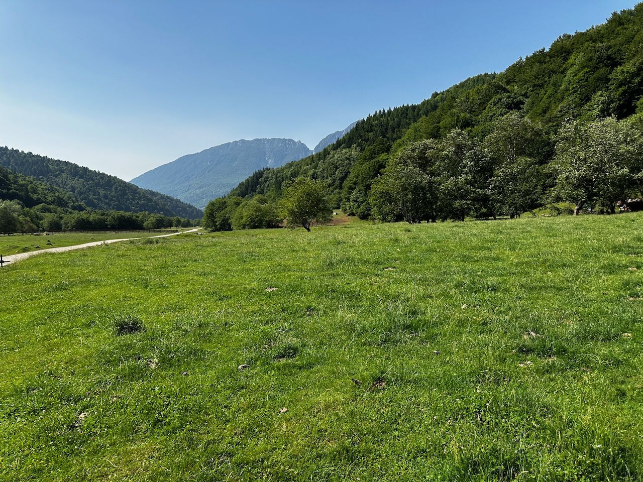 2 Loturi a 2124+2744mp Barsa Fierului / Plaiul Foii - Poză 9