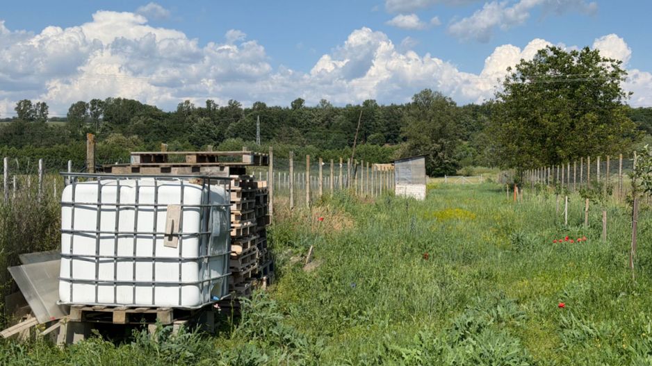 Teren intravilan, 2300mp - Vinerea ( Cugir ) - Poză 4