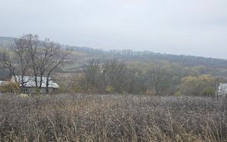 Vânzare, teren pentru construcții,16 ari, str. Padurii, Ivancea - Poză 9