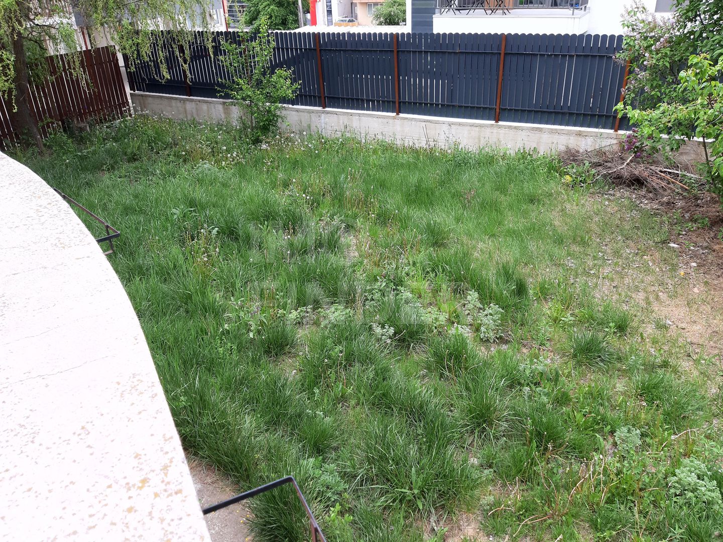 Apartament in vila cu Gradina zona Andrei Muresanu - Poză 14