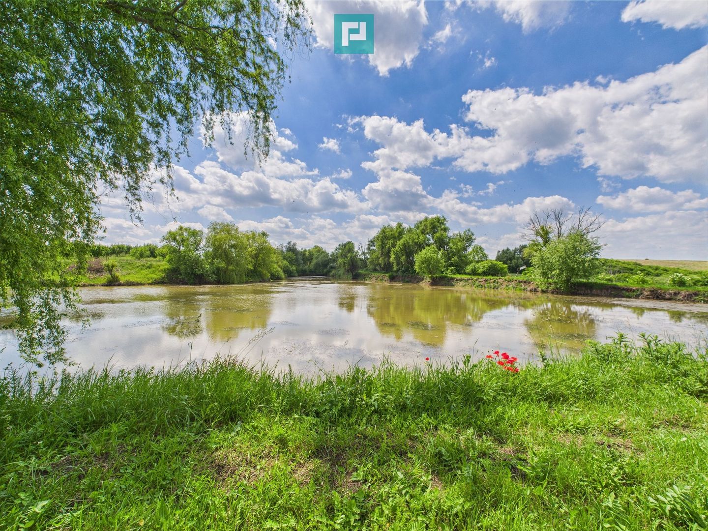 Teren cu baltă- oportunități multiple la Fibiș - Poză 29