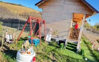 🏡 DE VÂNZARE CABANĂ ÎN BĂRĂBANȚ – PREȚ IMBATABIL! - Poză 2