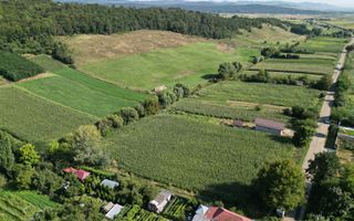 Teren intravilan de vânzare, Sat Bogdănști, Com. Traian - Poză 10