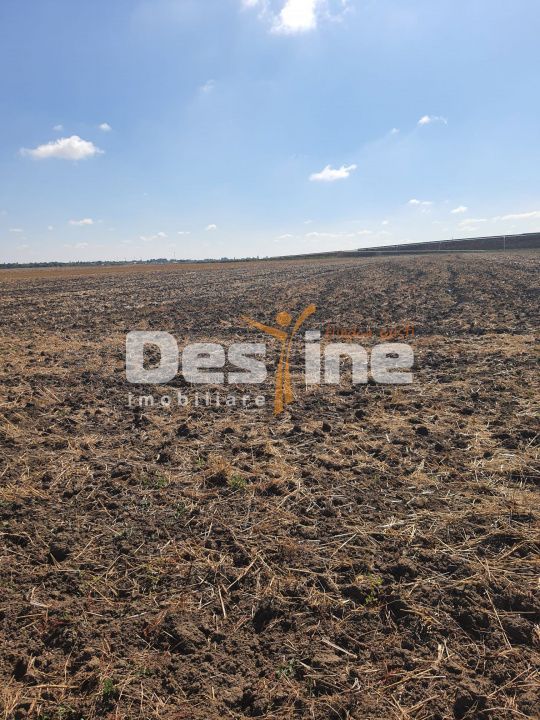 TEREN  EXTRAVILAN 7.802 mp –DOMNESTI, ILFOV - Poză 1