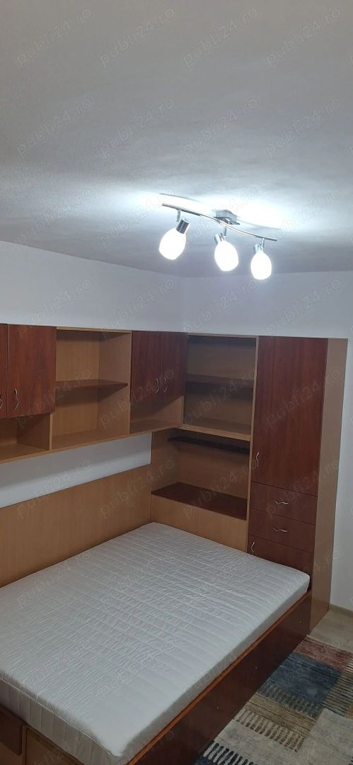 Apartament 1 Camera Gorjului - Poză 3