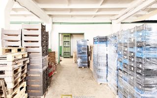 Hala industriala de vanzare Arad – 589 mp - Poză 2