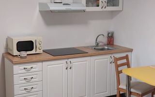 Garsoniera, PET FRIENDLY - 30 mp - zona AFI Mall - Poză 2