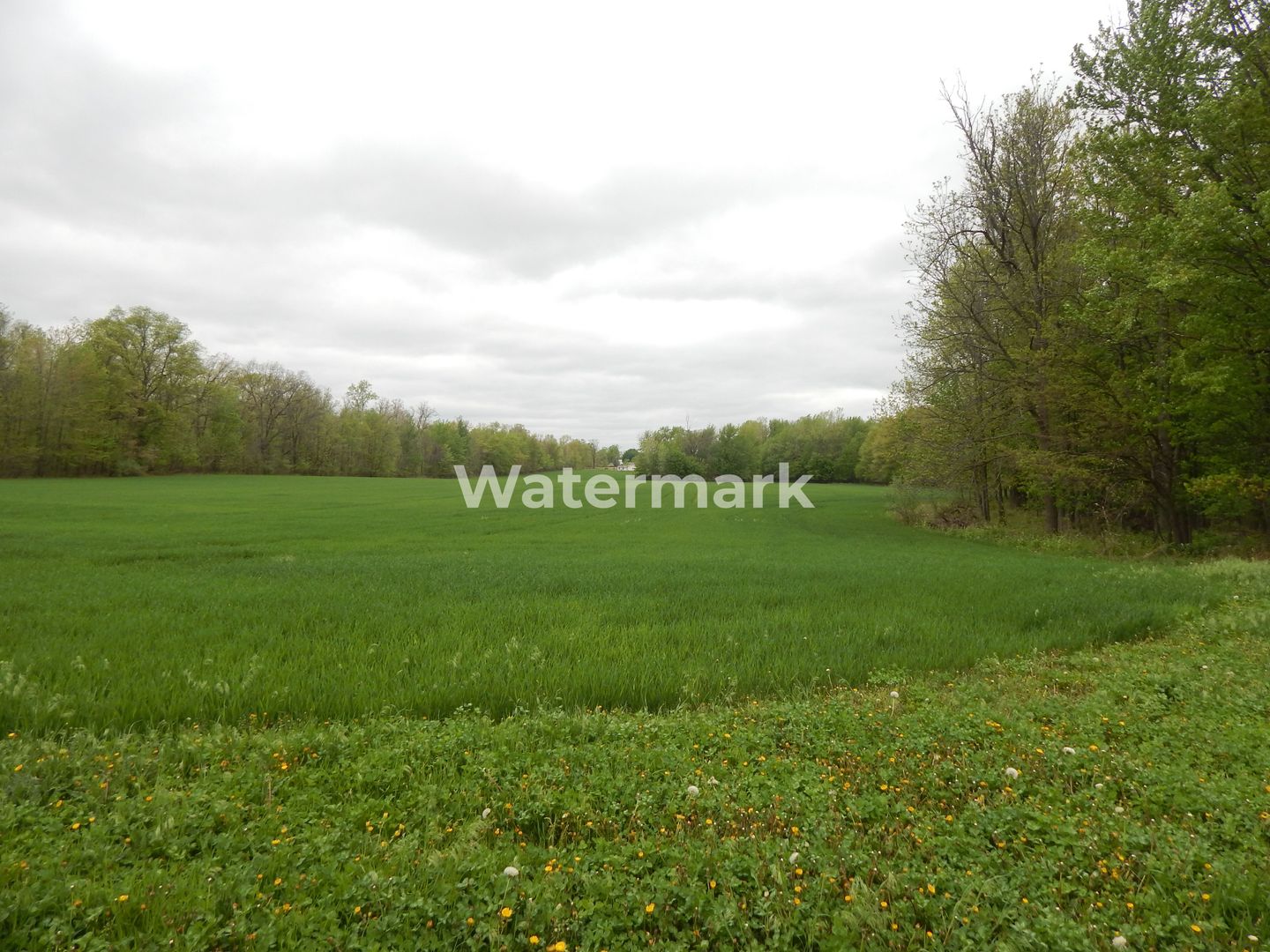 Teren in zona buna de vanzare - Poză 2