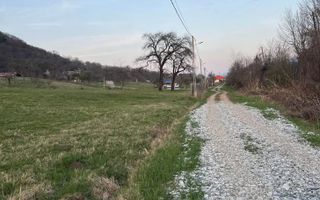 Teren extravilan de vânzare | Tălmaciu | 6.000 mp - Poză 4