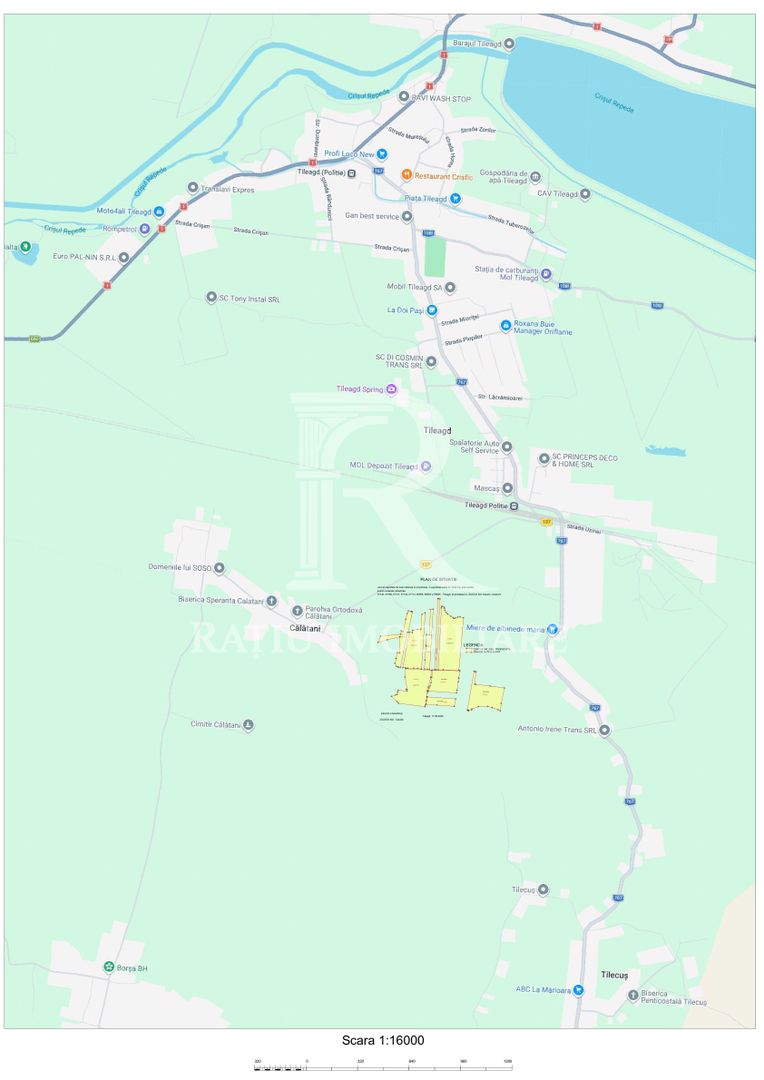 Teren agricol 19,87ha | Acces la drum public | Tileagd | Bihor - Poză 4