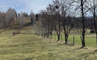 TEREN INTRAVILAN 2500 MP, LERESTI, ARGES - Poză 1