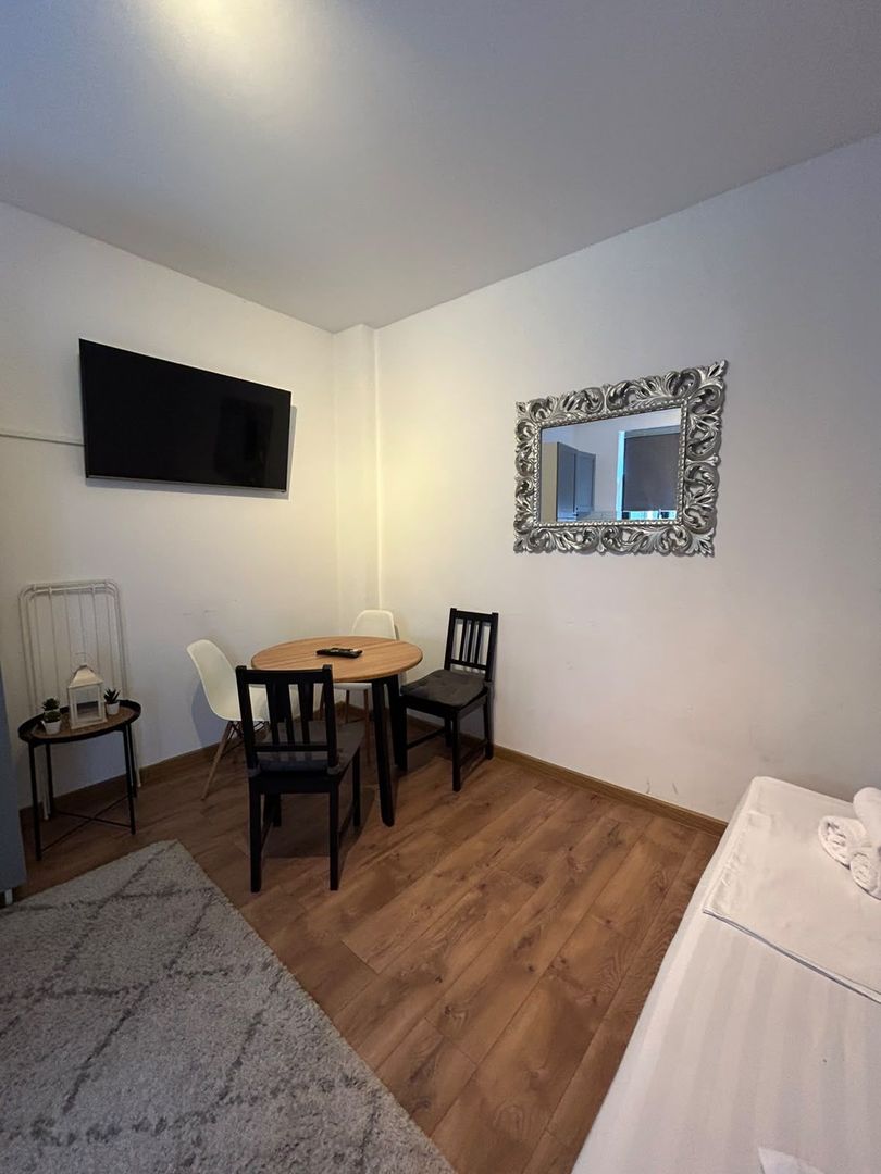 APARTAMENT 2 CAMERE OPENSPACE PARCUL CAROL - TINERETULUI - Poză 14