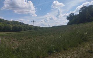 Teren 2045 mp-ideal investitie, cabana, gradina-Slatinita - Poză 4