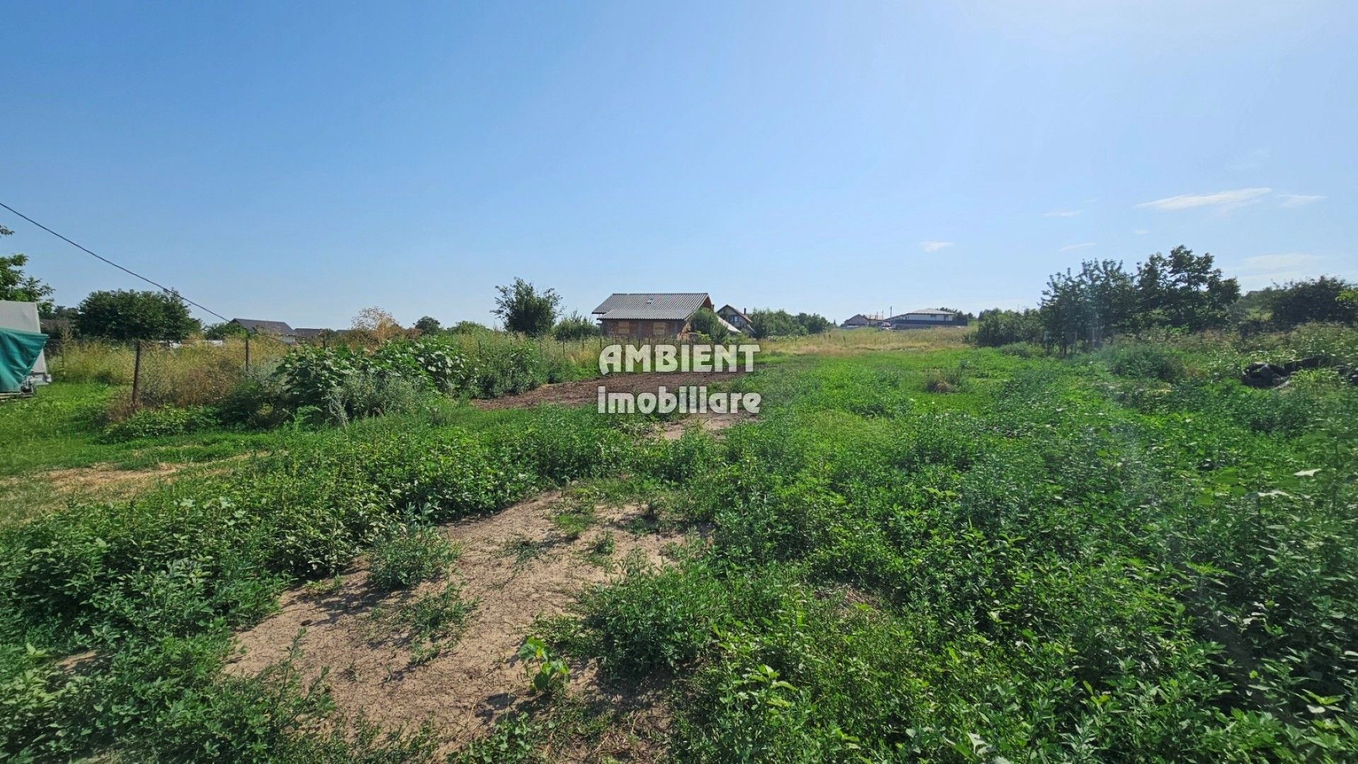 Teren intravilan 1.000 mp, str. Teodor Dragu, zona Moara Grecilor; - Poză 3