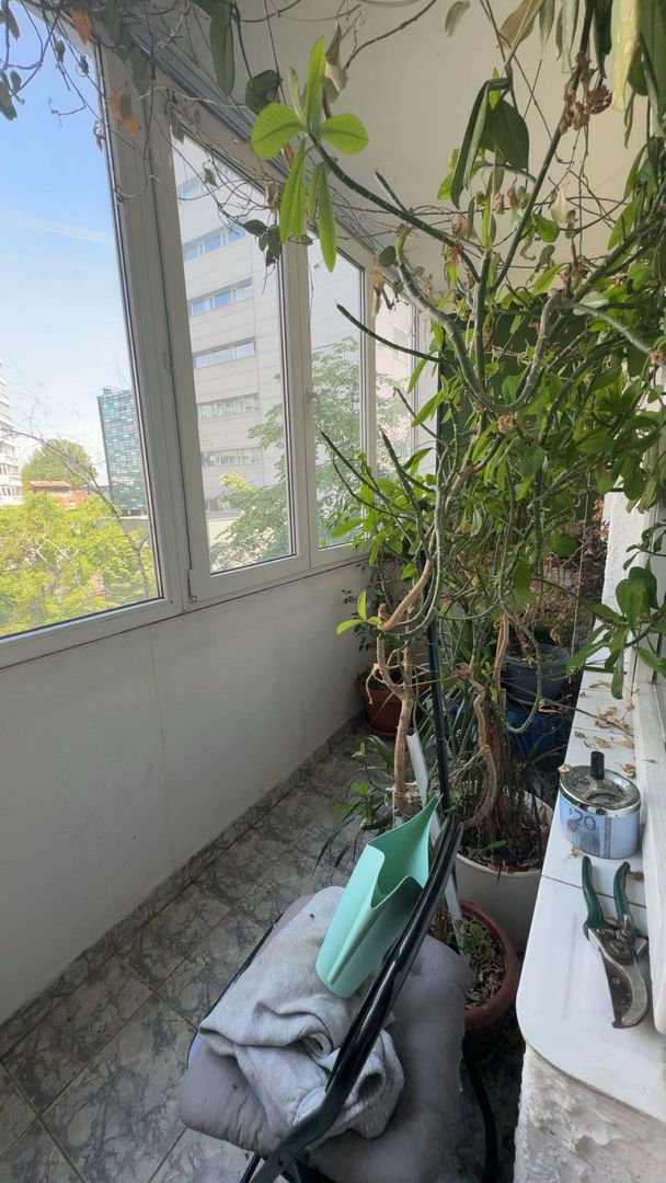 De vanzare Apartament 4 camere Piata Victoriei, Titulescu, Kiseleff - Poză 3