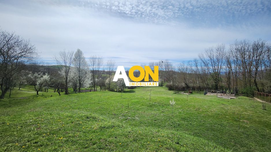 De vanzare casa 6 camere 8142 mp teren in Oarda de Sus - Poză 31