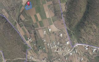 Tabăra/Orhei | 12.87 ari | Teren în inima Codrilor – Ideal pentru evadare în natură sau investiție - Poză 7