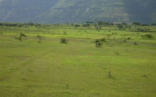 Teren cu PUZ de vanzare in Faget! - Poză 3