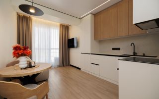 Vânzare apartiment- o odaie + living, str. Independenței, Botanica - Poză 1