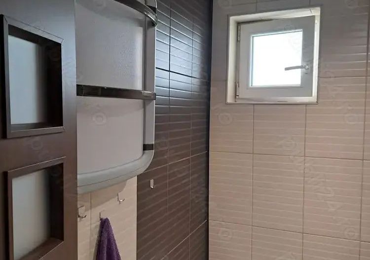 Apartament Fabrica de Gheata/Lacul Plumbuita - Poză 5