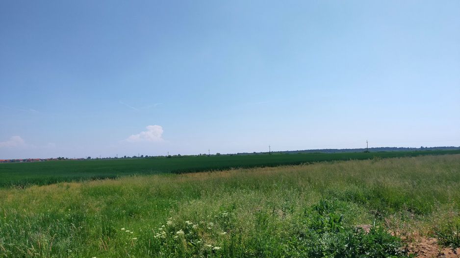 Teren extravilan agricol în Urseni - Poză 3
