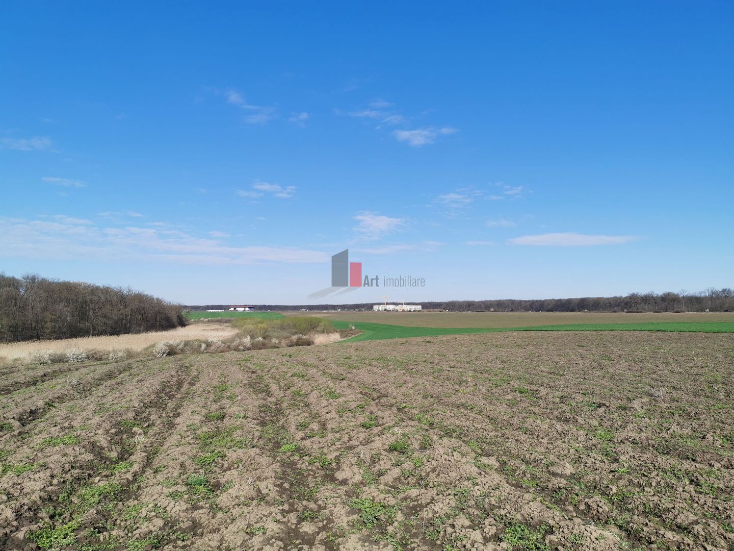 6,9 ha mp | 25 euro/mp |  in spate la Jumbo. - Poză 4