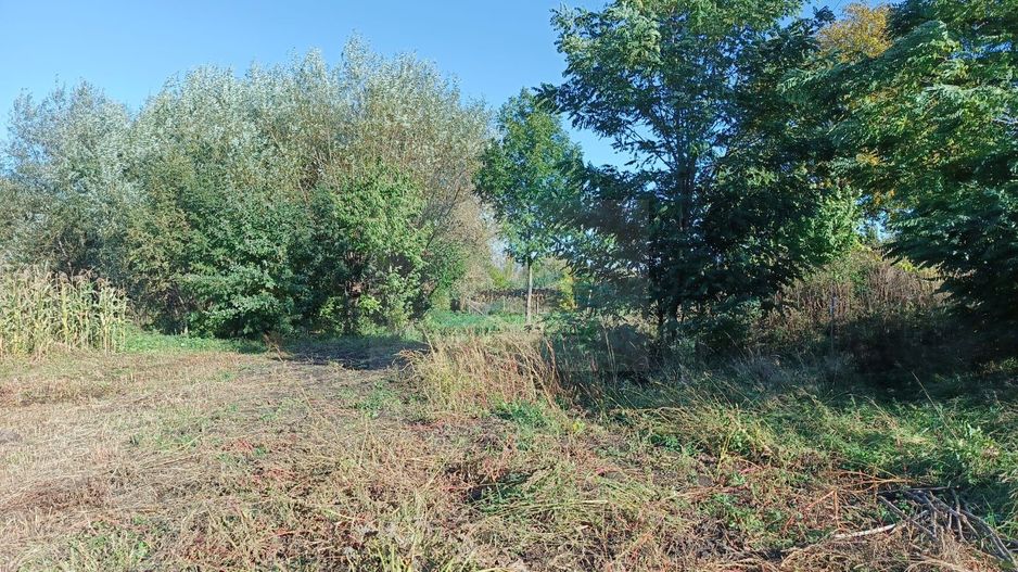 Teren intravilan Horodniceni/Suceava - Poză 2