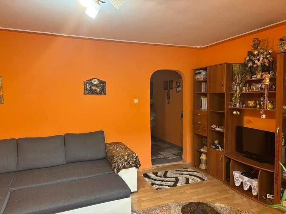 Calea Buziasului | 1 Camera | Etaj intermediar | Centrala proprie - Poză 1