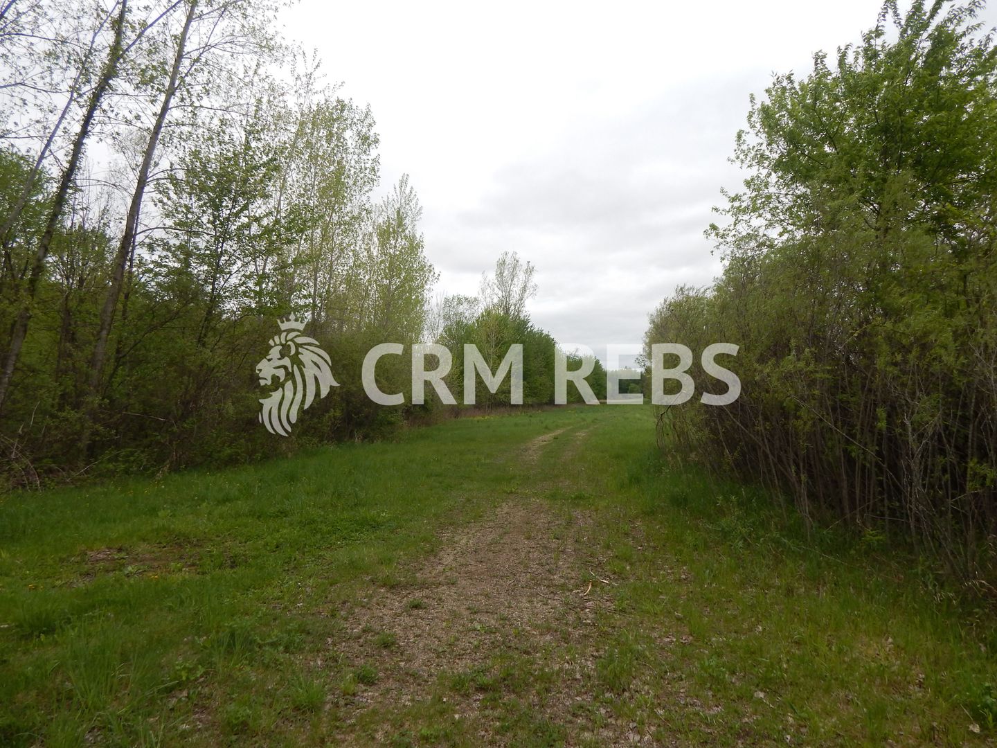 Teren cu PUD de vanzare pe str. Campului! - Poză 3