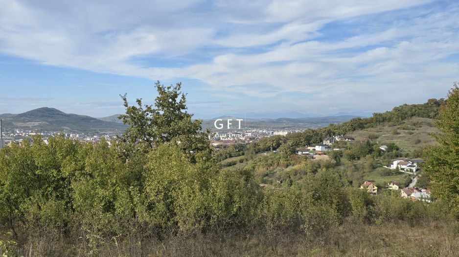 Teren de vânzare 8000 mp . - Poză 1