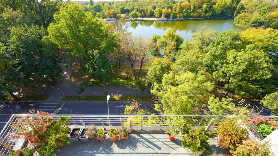 Panoramic View to Herastrau Lake, 5 rooms apartment - Poză 8