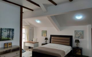Vila Horezu Romanii de Jos - Poză 22