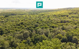 TEREN AGRICOL EXTRAVILAN  22.900 MP LIPOVA - Poză 17