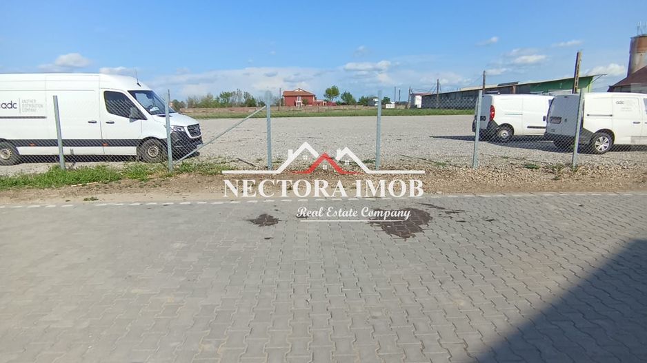 NECTORA IMOB-4 hale industriale noi, Zona Livada de Bihor, Curte mare - Poză 7