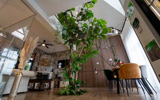 Resedinta exclusivista de vanzare, la 3 minute de Constanța in Cumpana - Poză 5