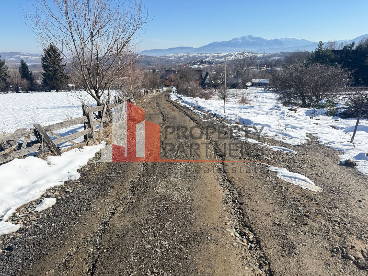 Teren Intravilan 1.500 mp | Vedere Panoramică| Tohanita - Poză 6