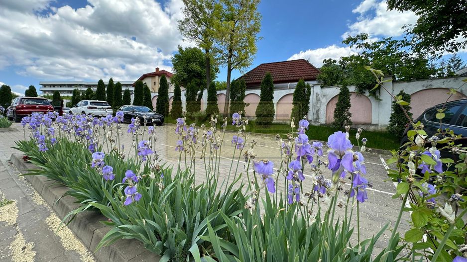 Apartament 2 camere bloc boutique Restaurant Little Texas - Poză 1