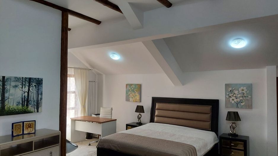 Vila Horezu Romanii de Jos - Poză 22