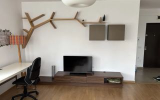 3 Camere Openspace, Zorilor, Parcare, UMF, UTCN, Golden Tulip,Panemar - Poză 4