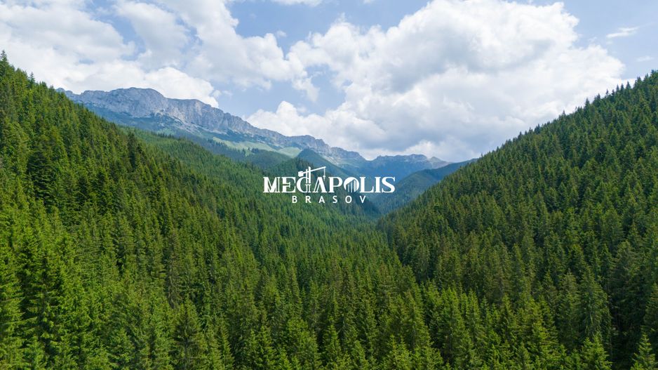 Pretabil Hotel,Pensiune,Case de Vacanta/Utilitati/PUZ - Poză 25