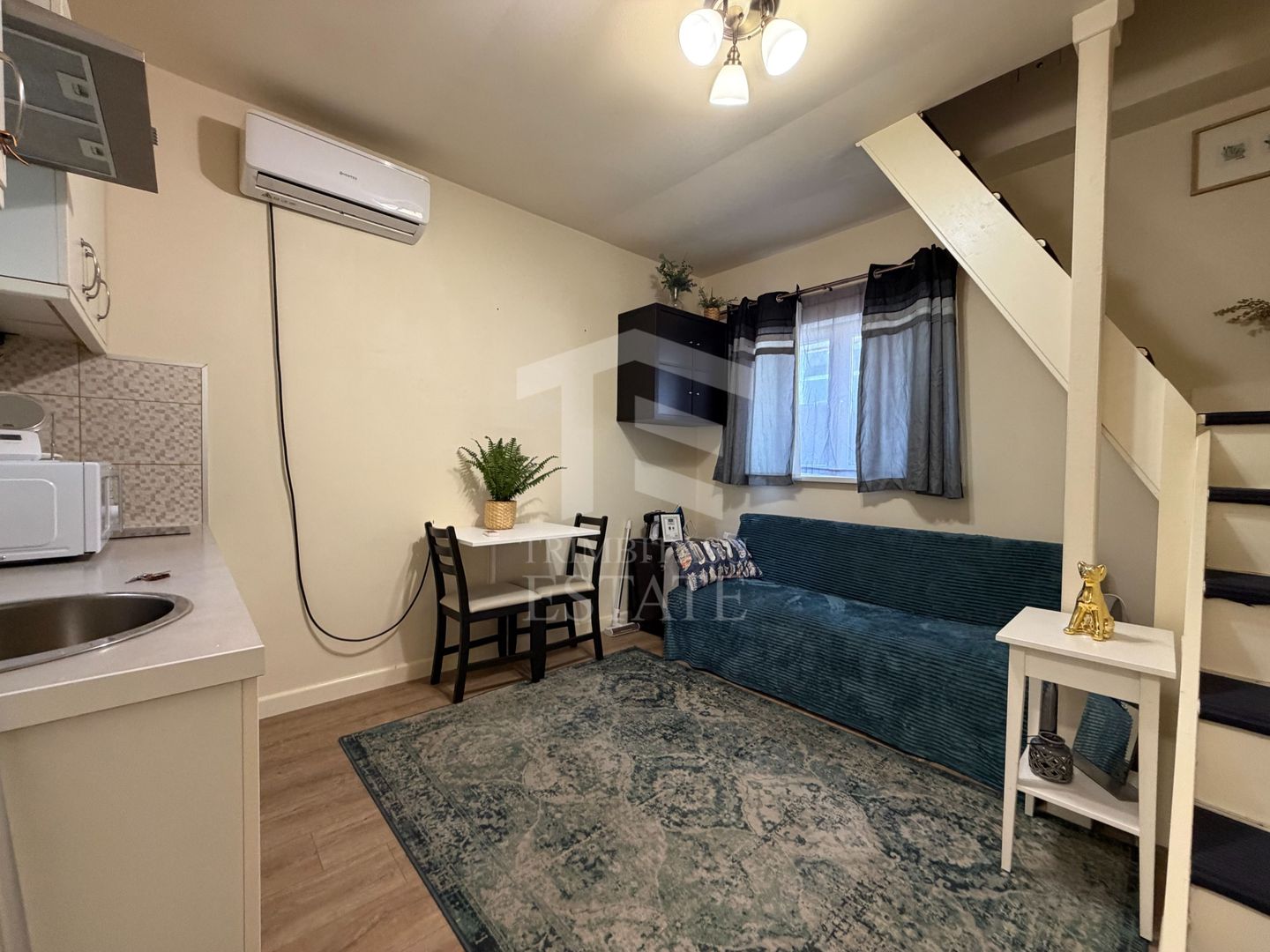 PARCUL CAROL - Viilor | Chirie Casa 2 Camere - Poză 2
