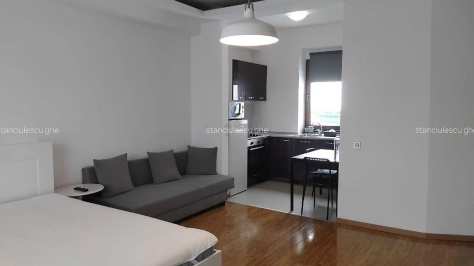 Garsonieră spațioasă de închiriat | Herăstrău - Poză 3